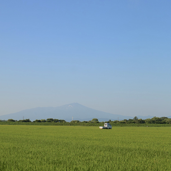 青空と田んぼ