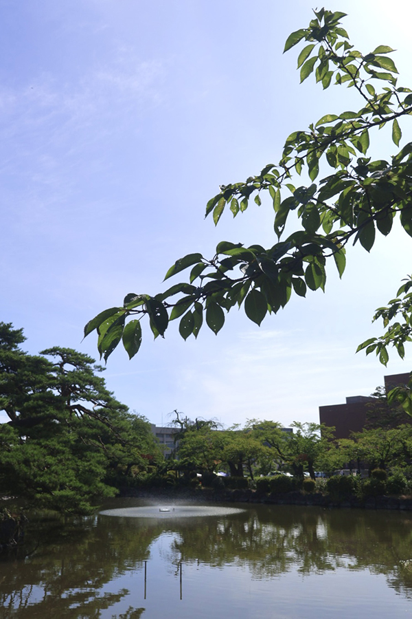 鶴岡公園の噴水