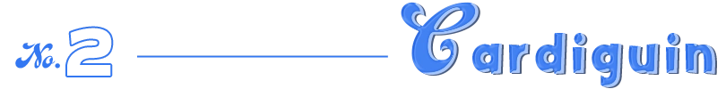No.2 - Cardiguin